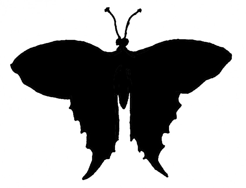 Silhouette Butterfly Photography Clip Art PNG