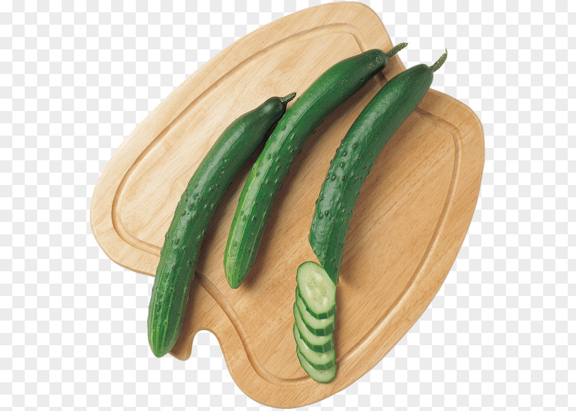 Cucumber Salad Clip Art PNG