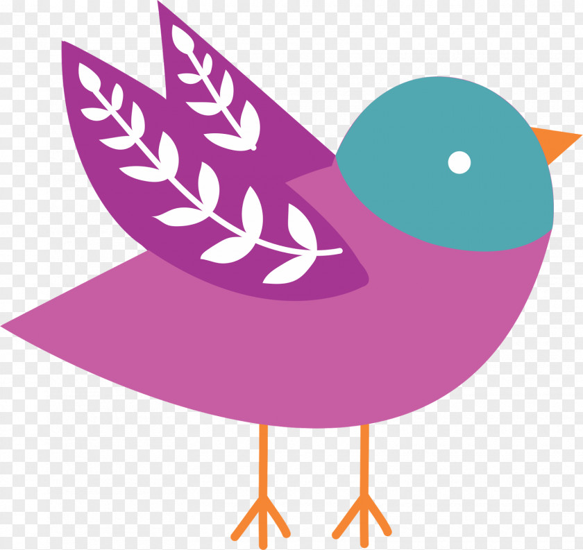 Einstein Vector Bird PNG