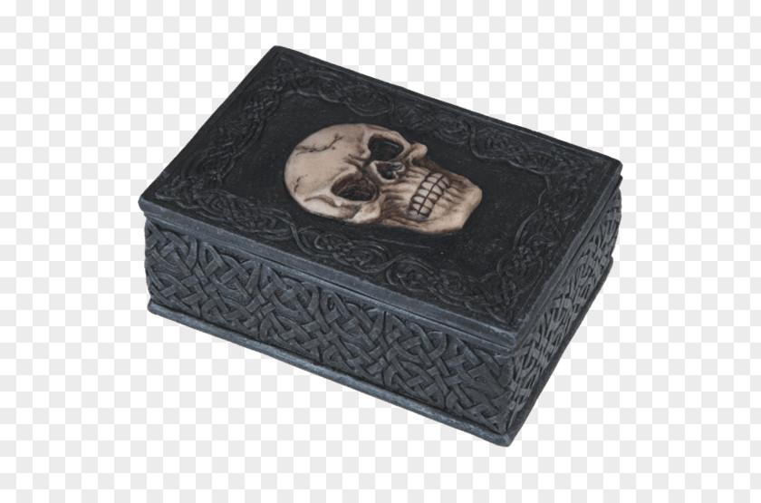 Skull Human Skeleton Box Rectangle PNG