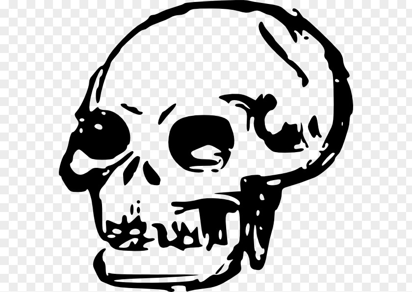 Skull Human Skeleton Clip Art PNG