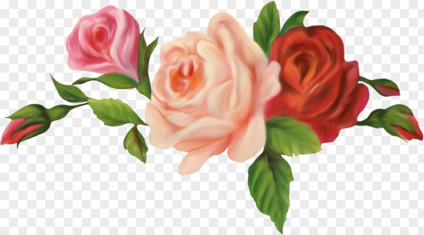 Vintage Rose Cut Flowers Garden Roses Centifolia Floristry PNG