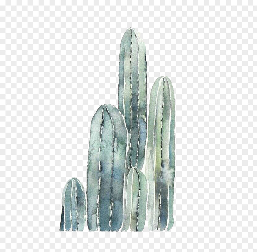 Creative Hand-painted Fresh Cactus Cactaceae Gratis Clip Art PNG