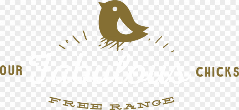 Egg Free-range Eggs Leghorn Chicken Free Range Organic Production PNG