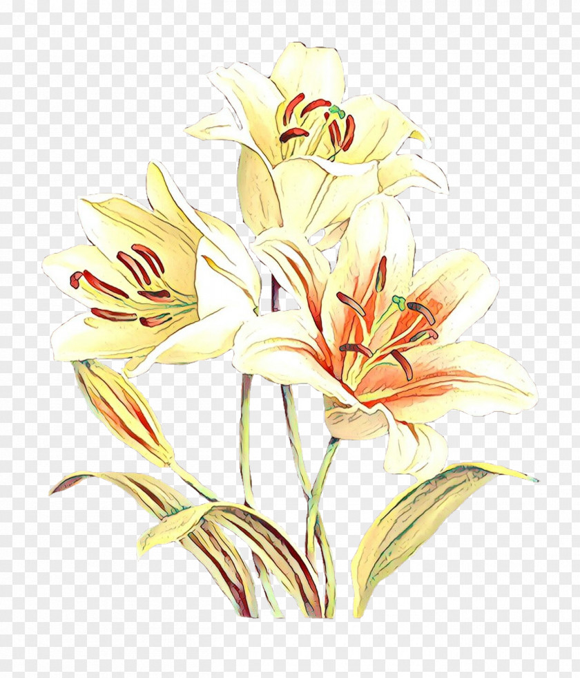 Floral Design Cut Flowers Flower Bouquet Jersey Lily PNG