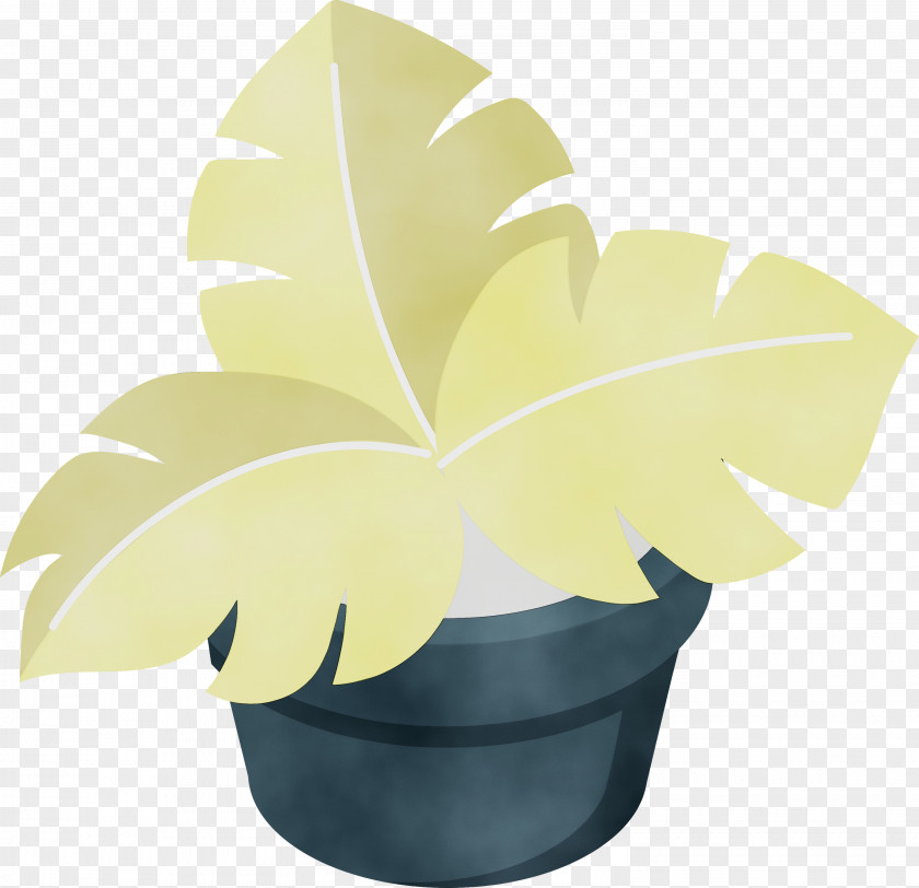 Leaf Yellow Flowerpot Science Biology PNG