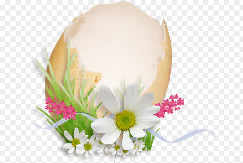 PASQUA Easter Egg Bunny PNG
