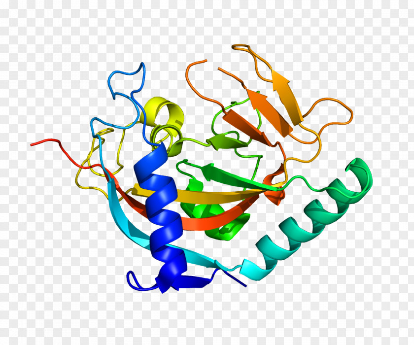 Protein Structural Genomics Structure Biology PNG