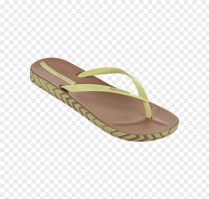 Sandal Flip-flops Shoe Slide Mule PNG