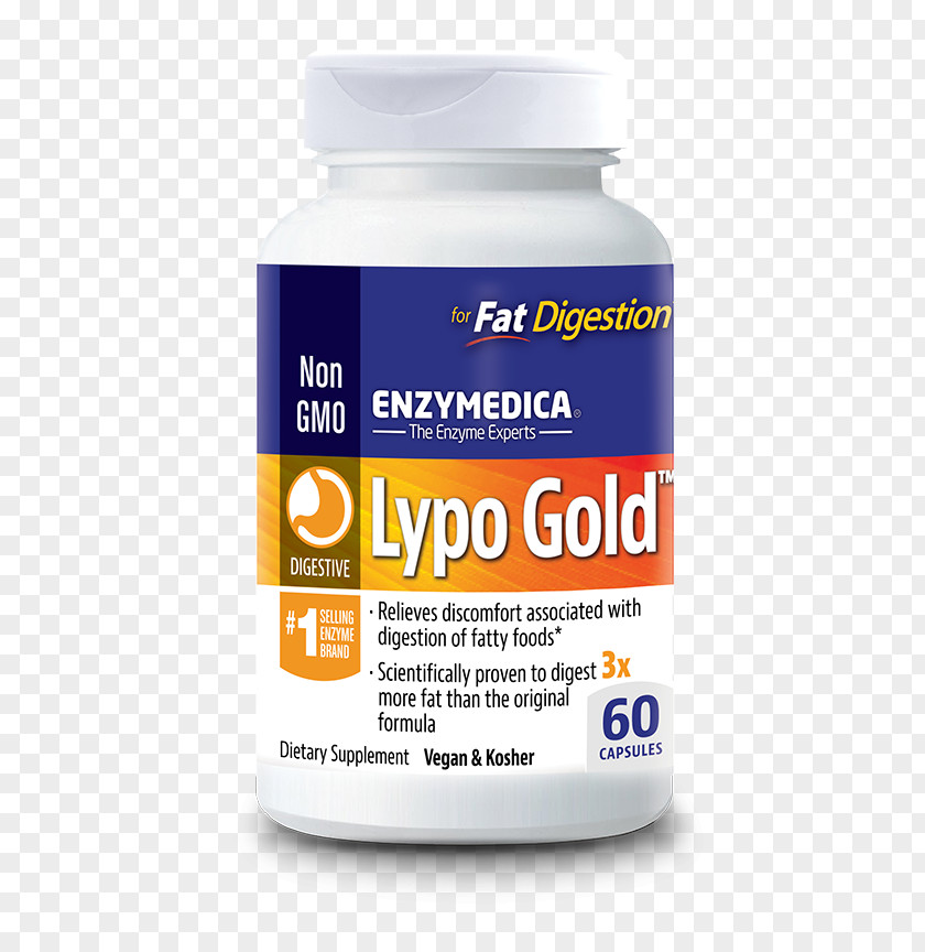 Digestive Enzyme Dietary Supplement Digestion Lipase PNG