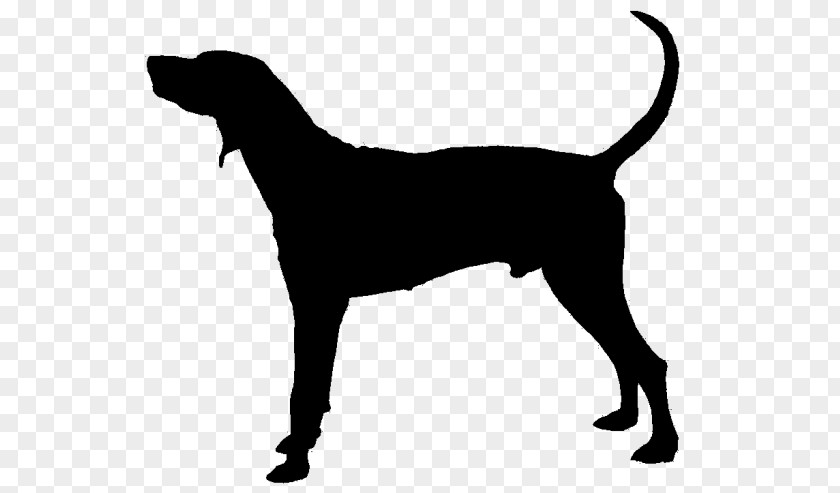 Dog Breed Puppy Treeing Walker Coonhound German Shorthaired Pointer PNG