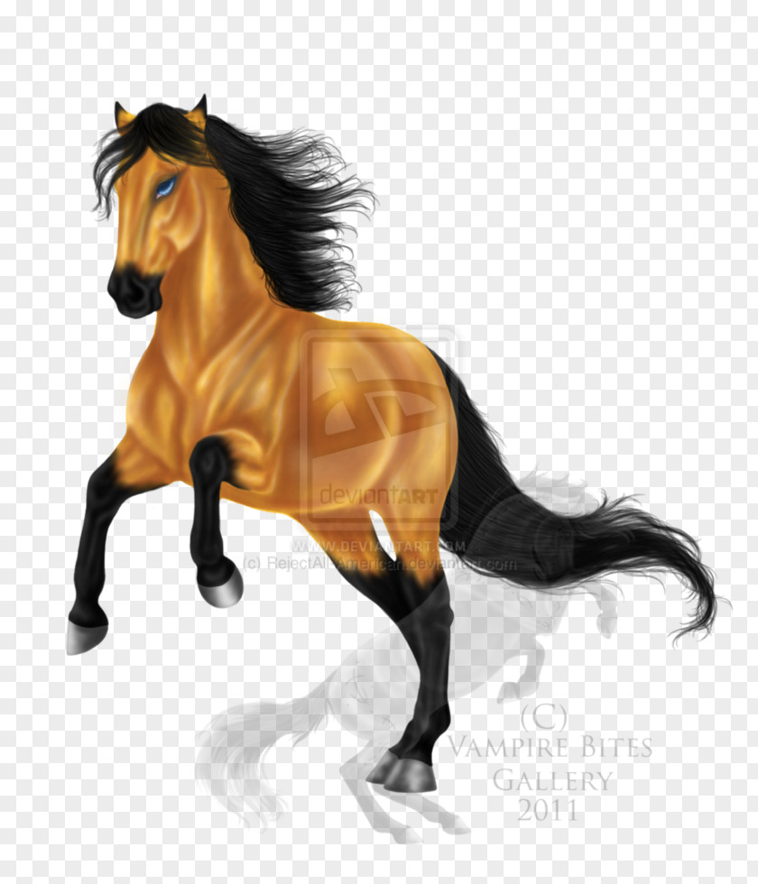 Mustang Stallion Mare Halter Rein PNG