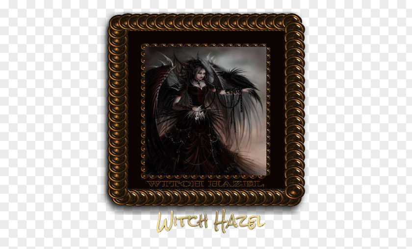 Witch Hazel Picture Frames Rectangle PNG