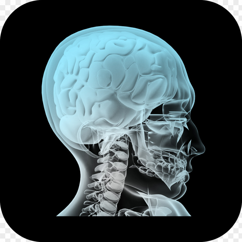 Augmented Reality Mobile App Anatomy Human Body Store PNG