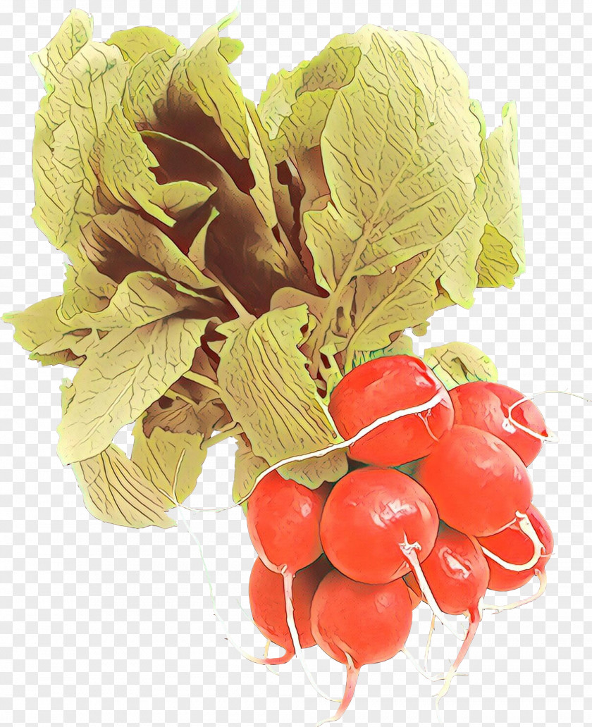 Fruit Superfood Radish Vegetable Natural Foods Food Plant PNG