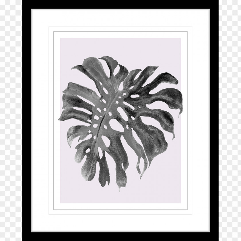Monstera Watercolor Picture Frames Borders And Photography Collage Clip Art PNG