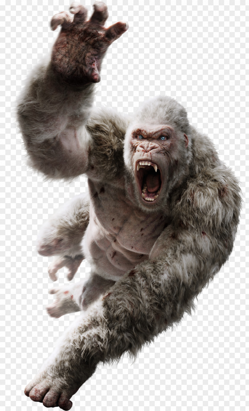 Padme Amidala Davis Okoye King Kong Film Art Monster Movie PNG