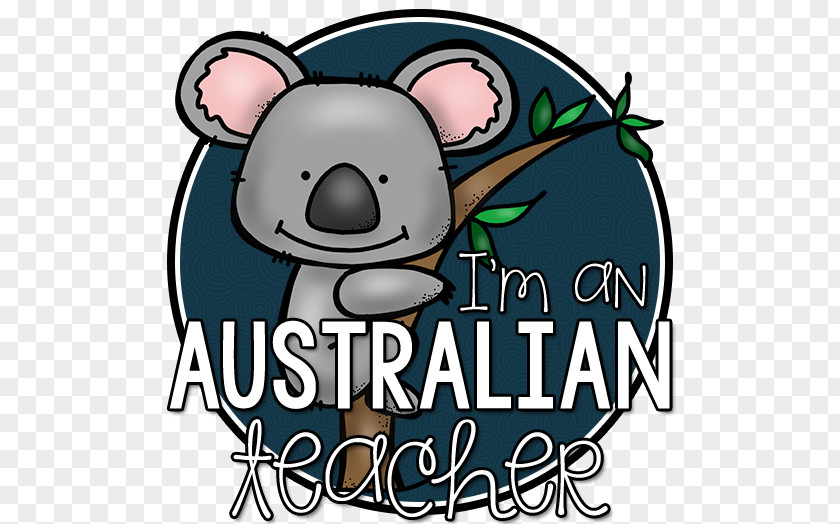Teacher Classroom School Koala Big Writing PNG