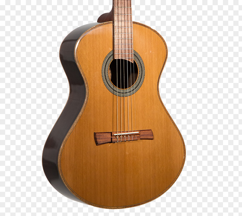 Acoustic Guitar Bass Acoustic-electric Tiple Cuatro PNG