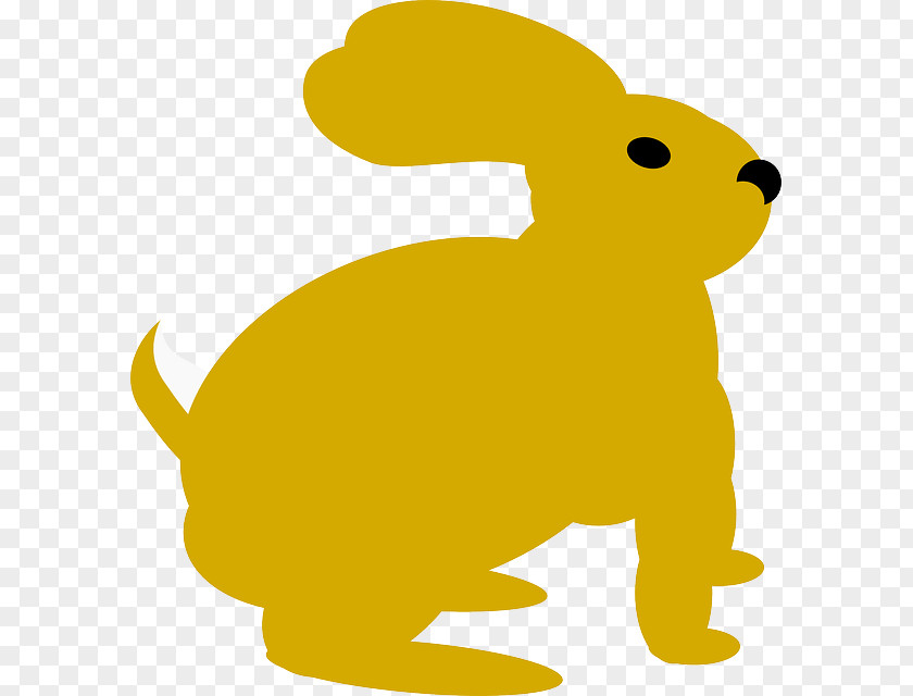 Cute Bunny Domestic Rabbit European Clip Art PNG