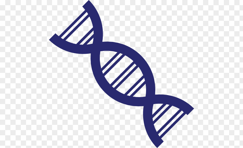 Dna Tree Genetics DNA Clip Art Genetic Testing PNG