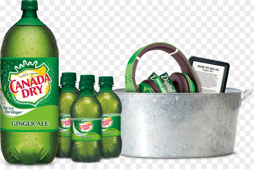 Drink Ginger Ale Fizzy Drinks Bitter Lemon Diet Canada Dry PNG