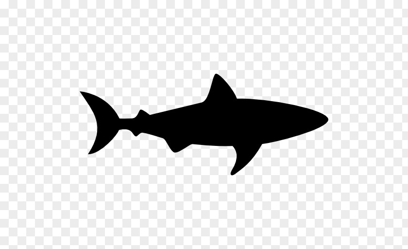 Sharks Hammerhead Shark Clip Art PNG