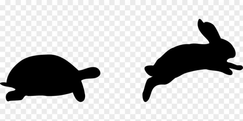 Turtle The Tortoise And Hare Snowshoe Clip Art PNG