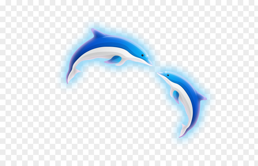 Blue Dolphin Clip Art PNG