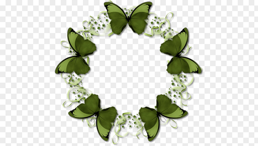 Butterfly Ring Writing Flower Dog Paddle Pattern PNG