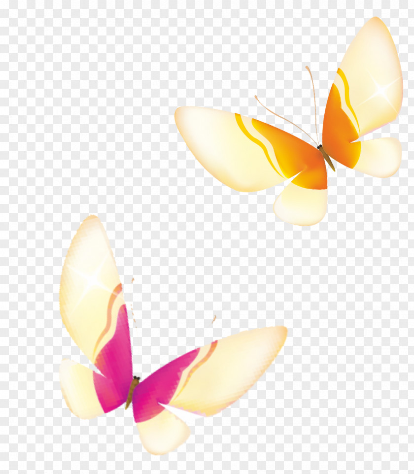 Butterfly Yellow Petal PNG