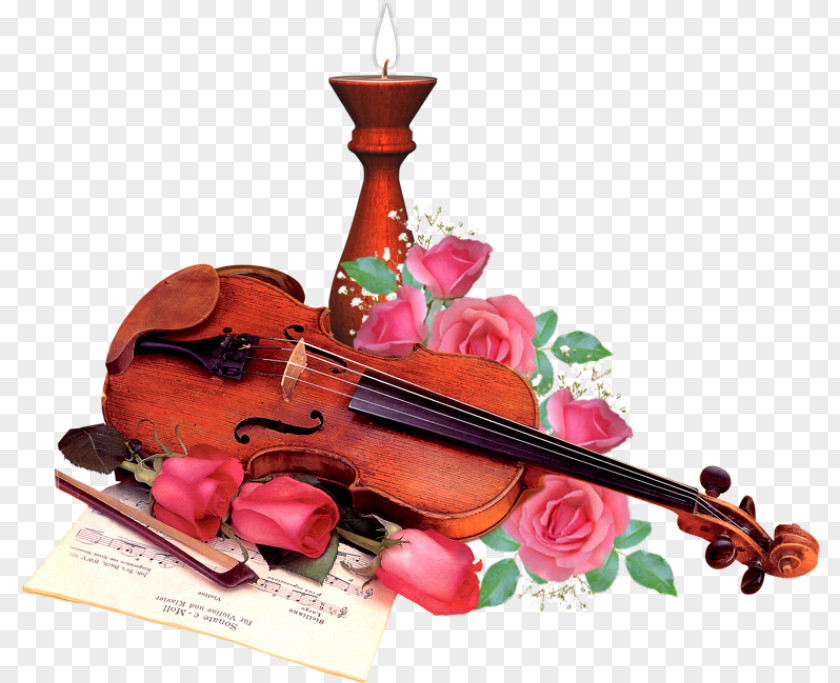 Violin Musical Instruments String PNG