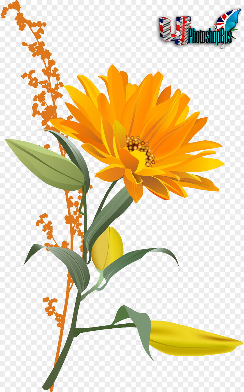 3d Bee Pollination Common Sunflower PNG