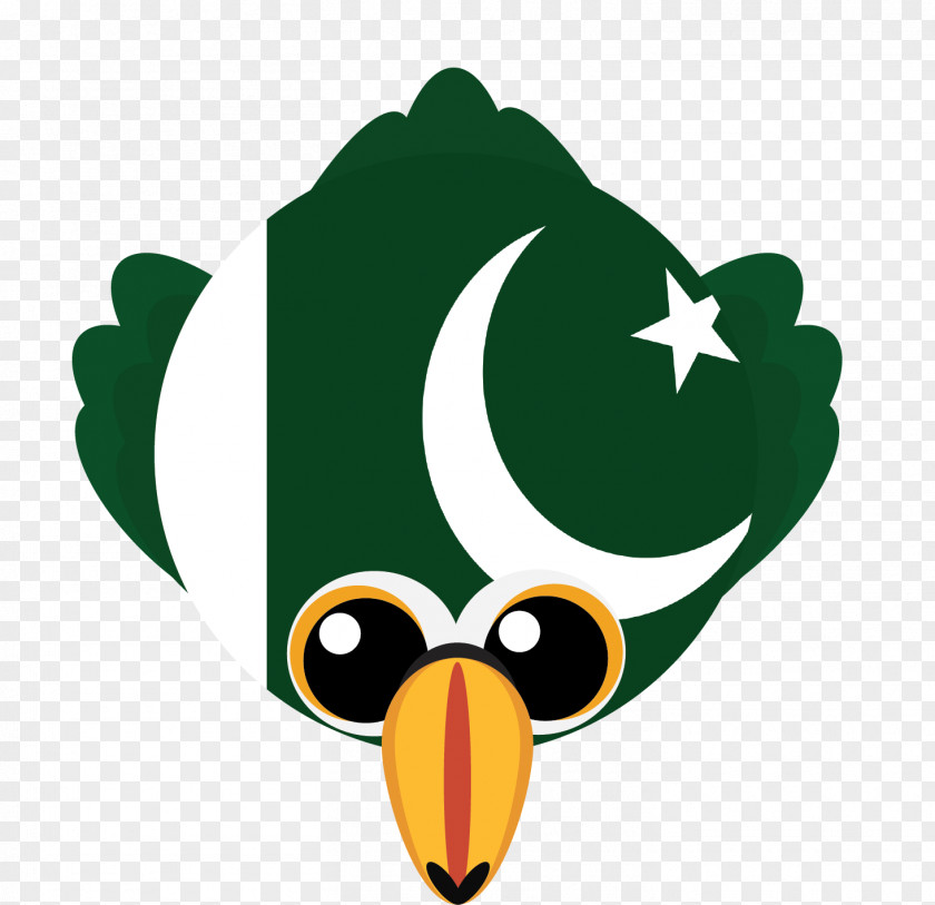 Angry Birds Bird Pakistan Flag PNG