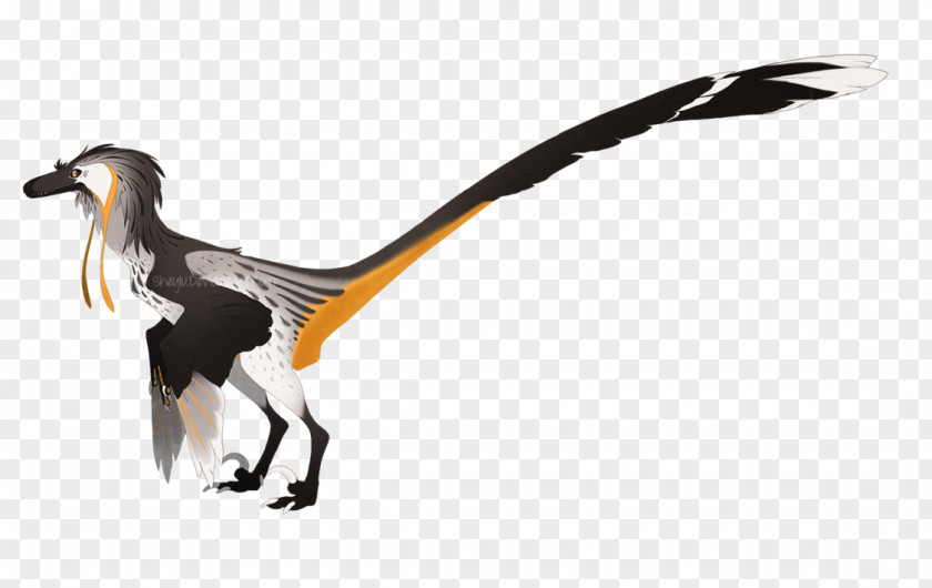 Bird Velociraptor Utahraptor Deinonychus Yutyrannus PNG