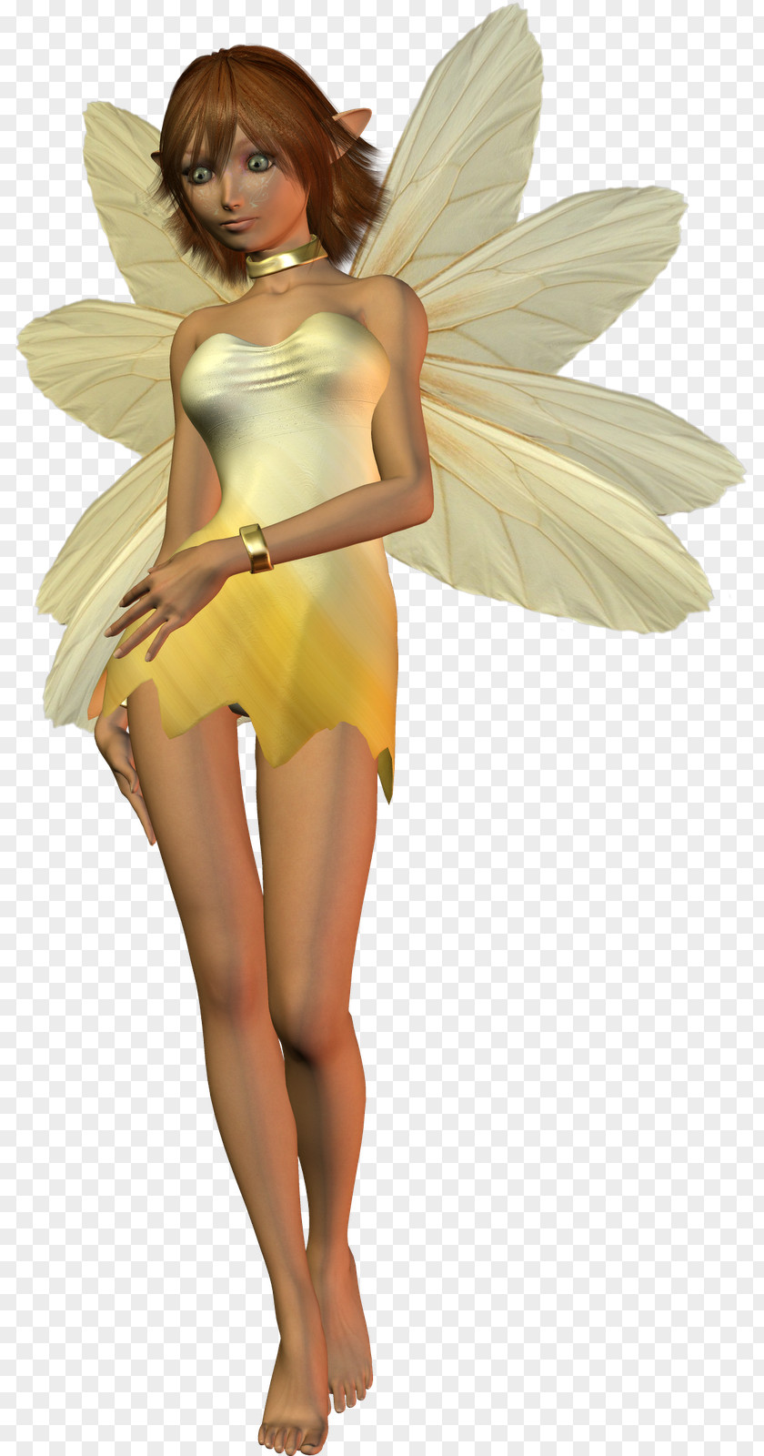 Fairy Clau Angel PNG