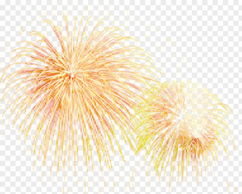 Fireworks Effect Firecracker PNG