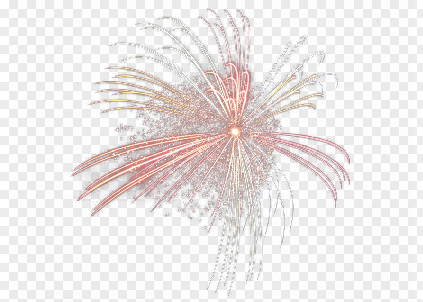 Fireworks Wrapped Rotten Close-up Pattern PNG