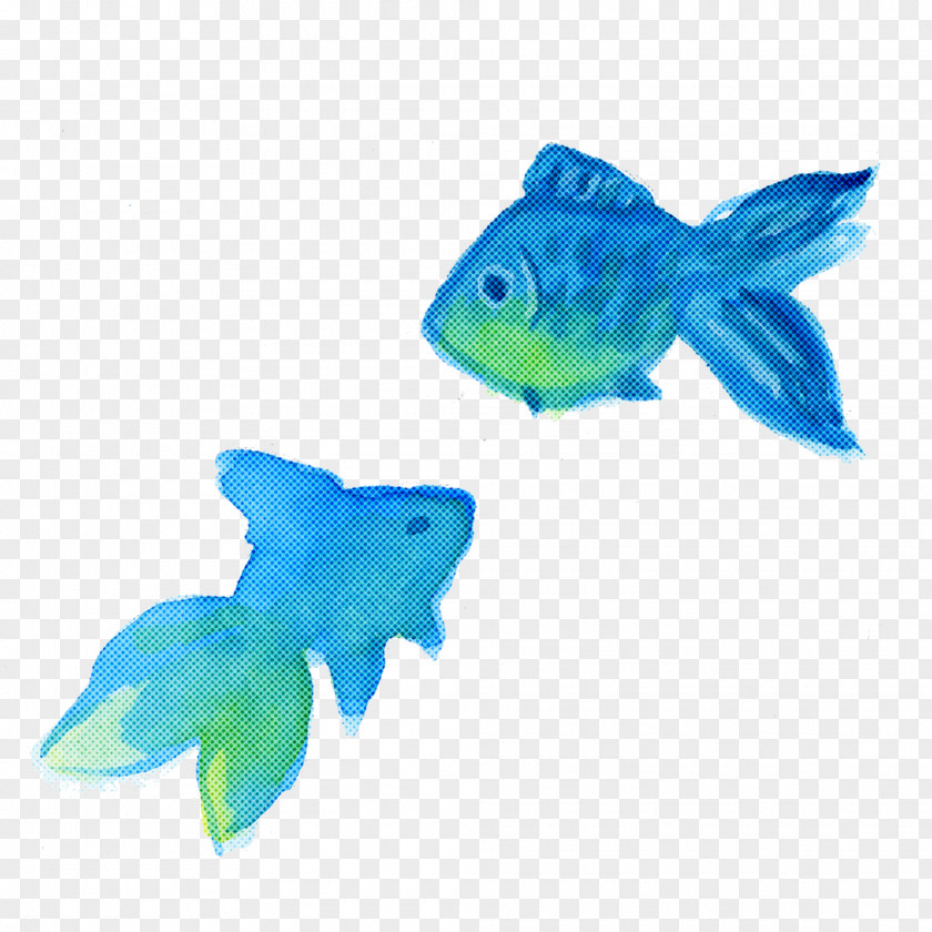 Fish Turquoise Animal Figure Fin PNG