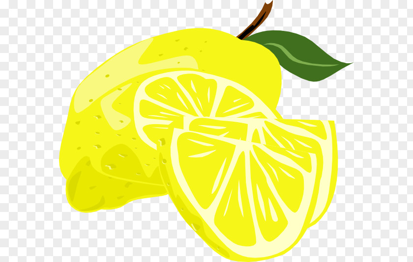 Lemon Citron Citrus Junos Clip Art PNG