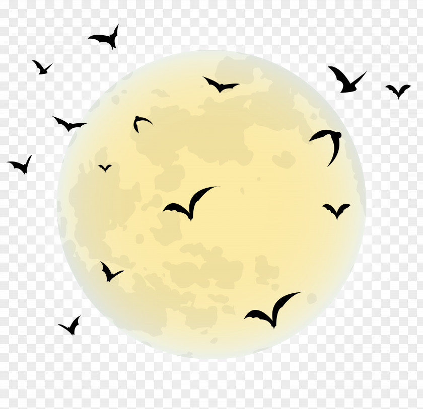 Moon Halloween Full Clip Art PNG