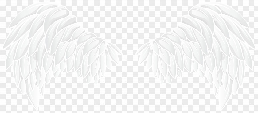 Wings Black And White Monochrome Photography Drawing Line Art PNG