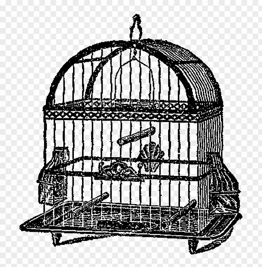 Birdcage Black And White Monochrome Photography Iron PNG