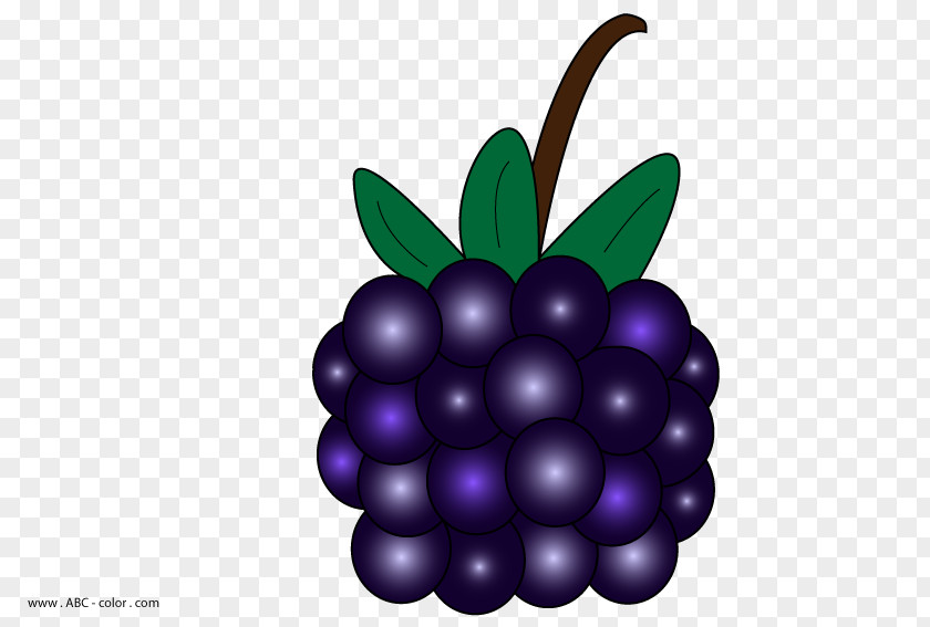 Blackberry Pie Clip Art PNG