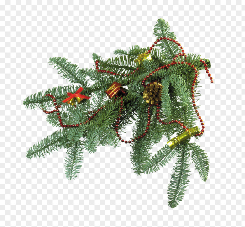 Christmas Tree New Year Fir Day PNG