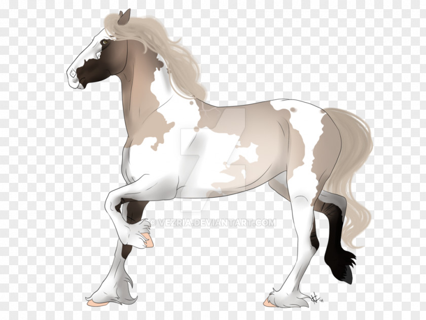 Dream Catcher Foal Stallion Mare Colt Pony PNG