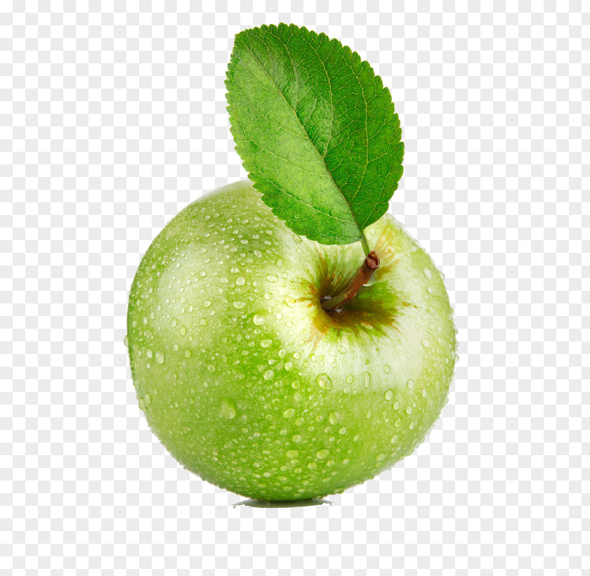 Green Apple Bible Undefeated: Gods Strategy For Successful Living Cyprian Of Carthage: His Life And Impact Christianity PNG