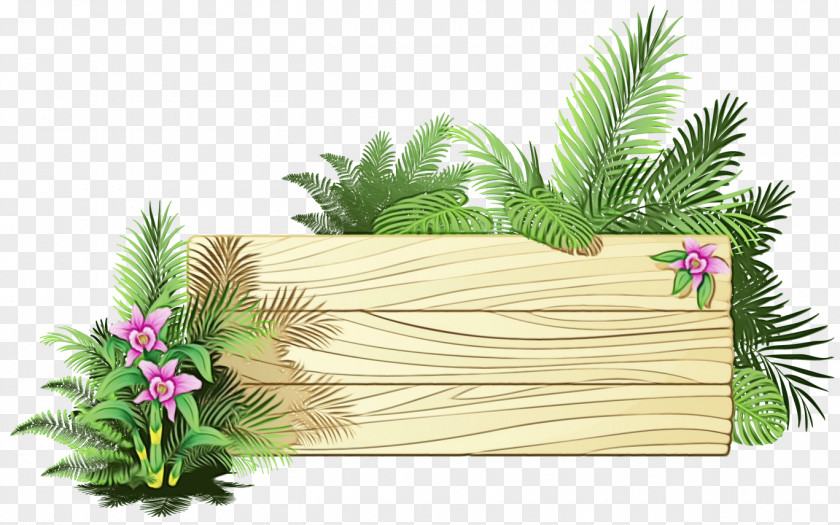 Palm Tree Rectangle Drawing PNG
