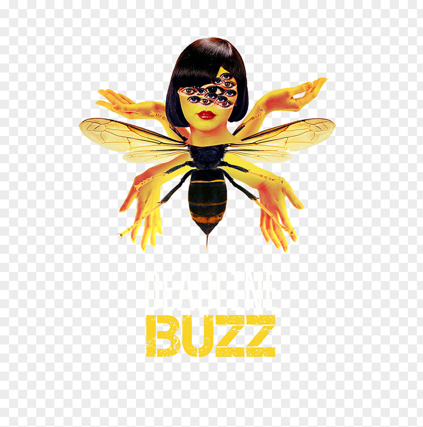 Bee Burrito Bande Graphics Illustration Fairy PNG