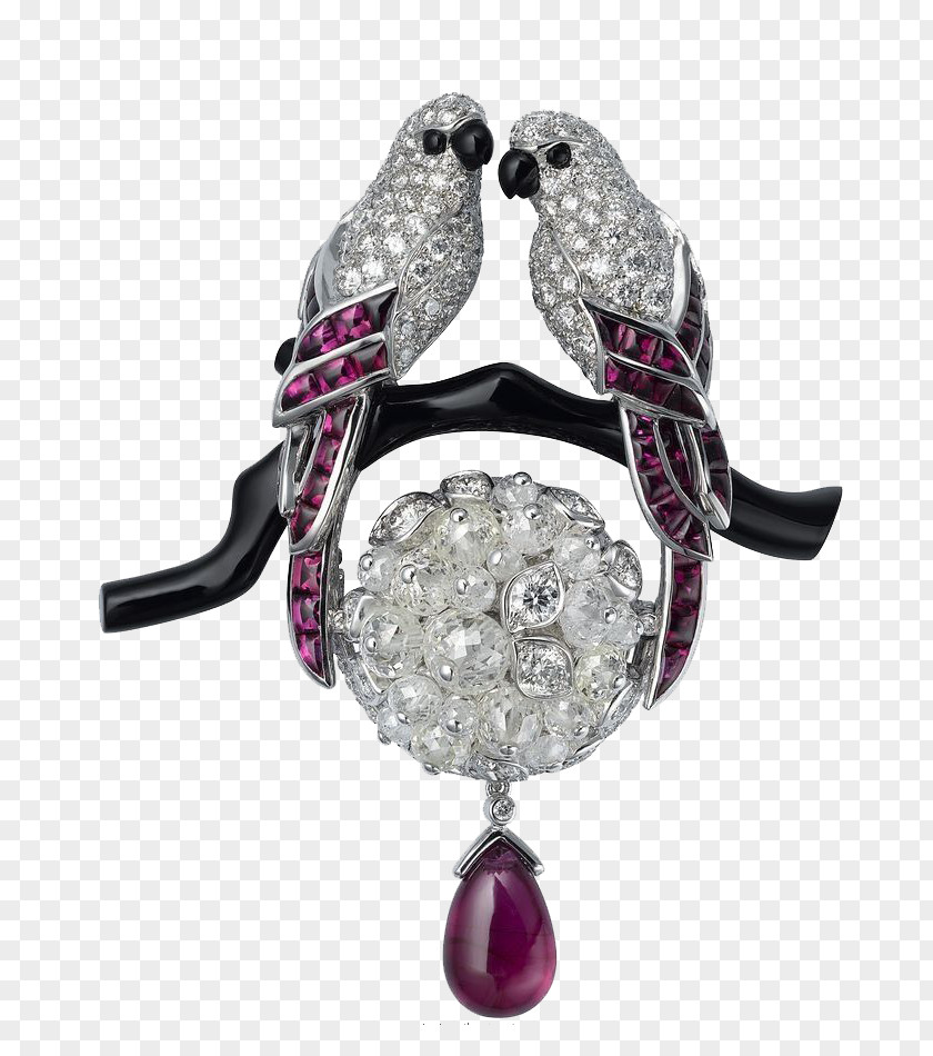 Cartier Jewelry Bird Jewellery Brooch Gemstone Ring PNG